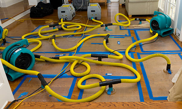 Professional Sewage Cleanup technician working in Plymouth, NH